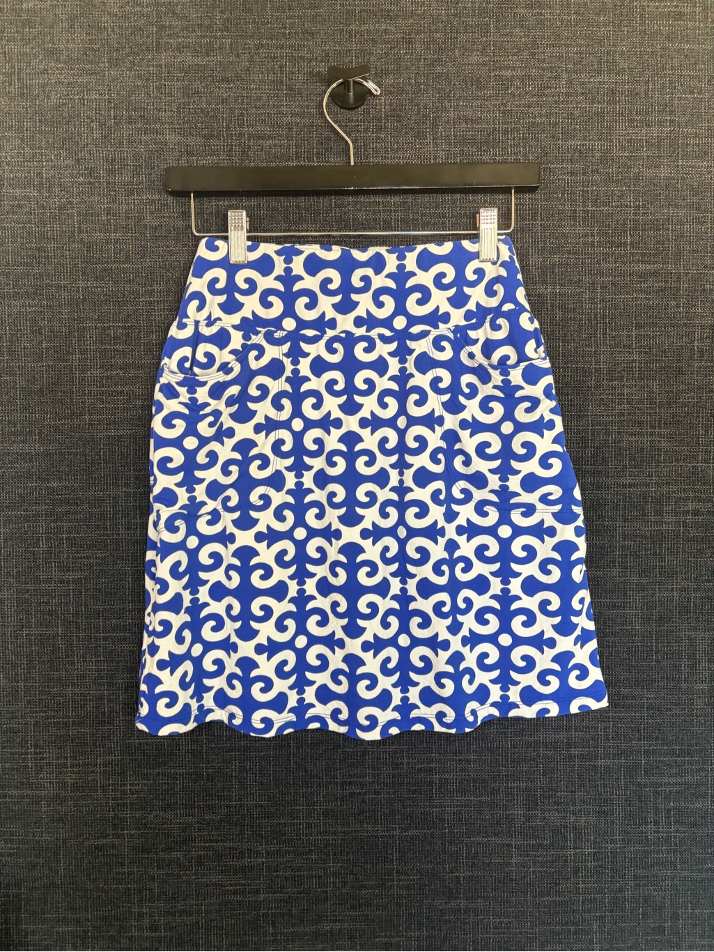 Blue And White A-Line Print Skirt